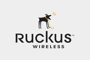 Ruckus Wireless